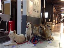 南魚沼コシヒカリRUNin石打　前日編