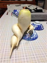 明日からは貴方無しで行きてゆくのね…