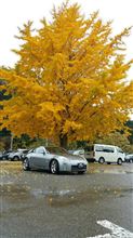 EXCITING CAMERAであなたの愛車を激写せよ！ [EXCITING APP]