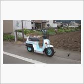 クレージュもどき