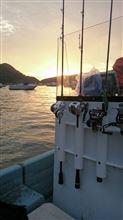 釣り…にならず。