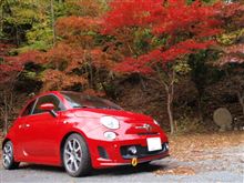 紅葉を見に