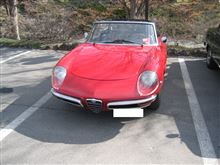 alfaromeo spider duetto しばらくぶりです! alfaromeo spider duetto しばらくぶりです!