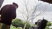 【私信】今年のアレお疲れ様でした