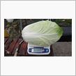 町内会　秋の文化祭に野菜出品
