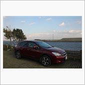 納車１周年