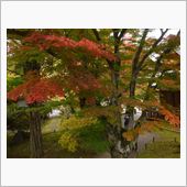 泊まりで紅葉ツーリング（1日 ...