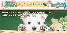 ペットと泊まれる宿