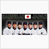 新たなメジャーへのポスティン ...