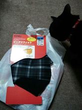 小物