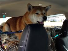 南魚沼コシヒカリRUNin石打　翌日編