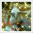 元気になりました(*^^*)