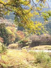 今日はテコ入れ　温泉回（爆）
