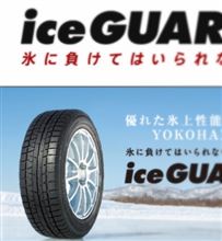 冬準備しなければならないのだが