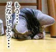 やっちまった…