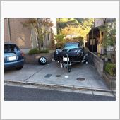今後の予定