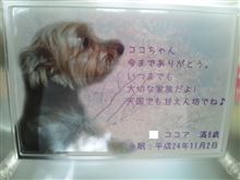 犬の命だってかけがえのないもの。。