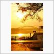 宮城県夕空(^-^)b
