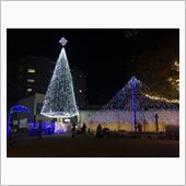 すっかりクリスマスモードと思 ...