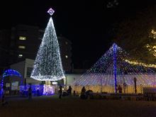 すっかりクリスマスモードと思いきや・・・