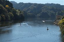 2014.11.15 亀山湖 Fujifilm X-Pro1 フジノン XF 18-55mm F2.8-4 R LM OIS