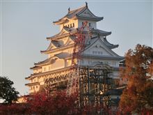 11/15現在の国宝姫路城 