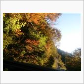 紅白イロ合戦