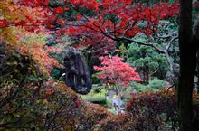 紅葉狩り（翡翠園 玉翠園 谷村美術館）