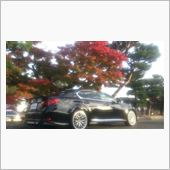 ＢＢＳジュラ鍛と紅葉撮影(^ ...
