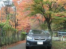 オクシズに紅葉ドライブ