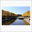 昭和記念公園の黄葉と紅葉