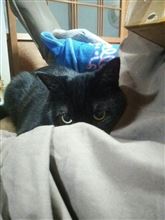 終息