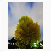 前向きに受け止めてみる？　そ ...