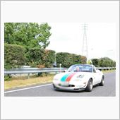 今週末のメタセコイア