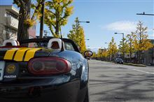 ソニーα7S~昼間の写真はどうなんよ ソニーα7S~昼間の写真はどうなんよ
