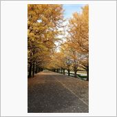 昭和記念公園に行ってきました ...