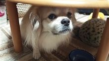 切実な訴え 切実な訴え