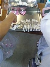 痛かった