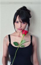 ネコと帽子と魔法使い　の　その後が更に酷い件