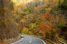 寺とモミジ (岩屋堂・虎渓山・大井平) 2014紅葉狩り 寺とモミジ (岩屋堂・虎渓山・大井平) 2014紅葉狩り