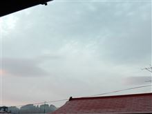 １１月２２日　５連休の始まりな土曜日、おはよ～♪