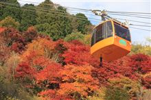 紅葉を見に箸蔵寺へ*^ω^)ﾉ&quot; ♪