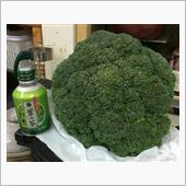 頂きモノ♪と地震