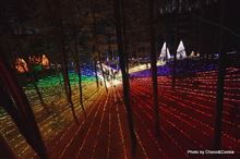 国営アルプスあづみの公園イルミネーション