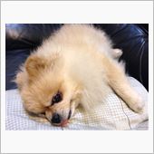 連休に (≧◇≦)