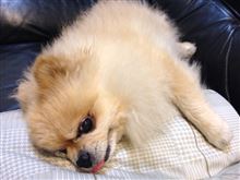 連休に (≧◇≦)