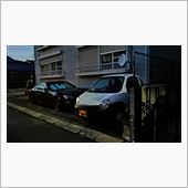 二代目ツインがやってきた
