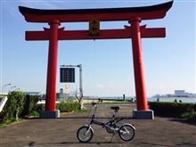 久しぶりに自転車で多摩川サイクリングコースに行ってきました(^_^;
