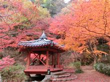 紅葉谷の出来事と本題！