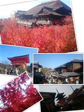 清水寺の紅葉